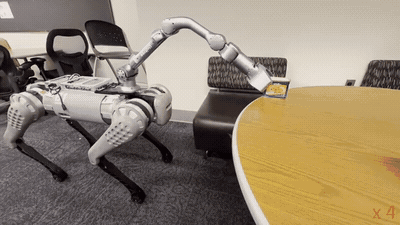 H-NTFields quadruped carrying task demonstration